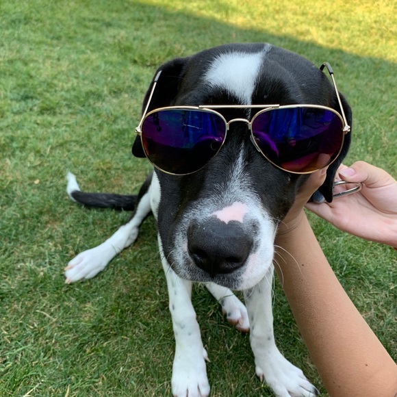 Meet your Posher, Carla - Picture 1 of 1